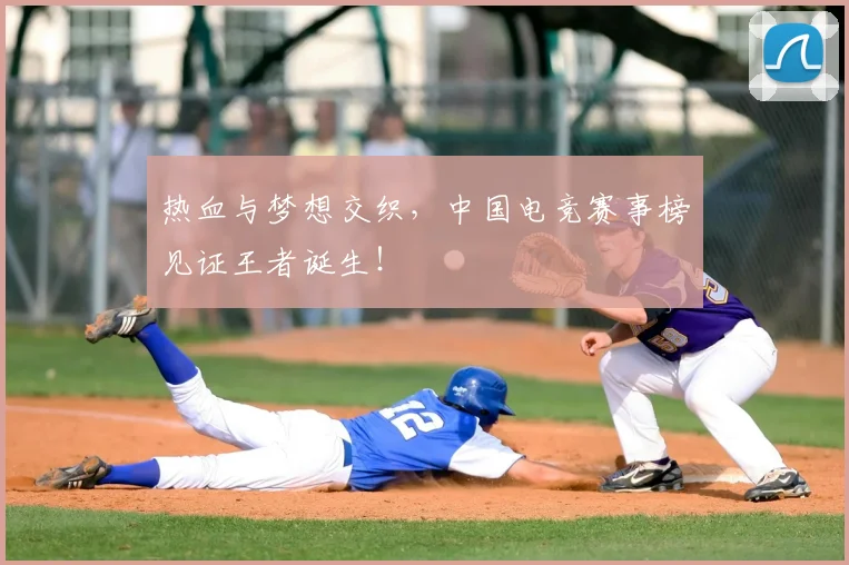 热血与梦想交织,中国电竞赛事榜见证王者诞生!