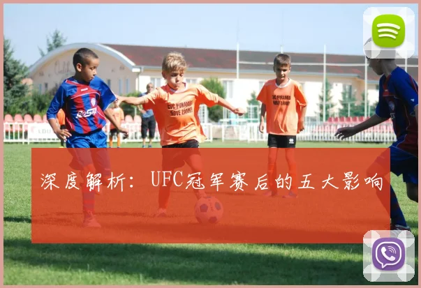 深度解析:UFC冠军赛后的五大影响