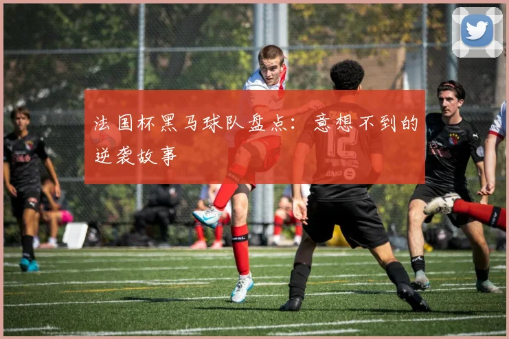 法国杯黑马球队盘点:意想不到的逆袭故事
