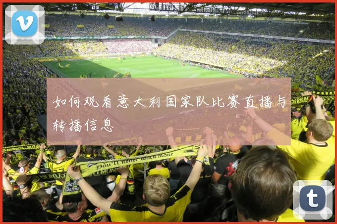 如何观看意大利国家队比赛直播与转播信息