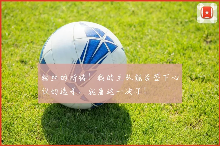 粉丝的祈祷!我的主队能否签下心仪的选手,就看这一次了!